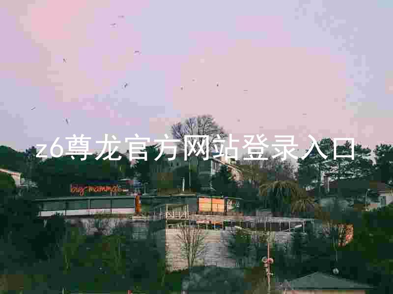 z6尊龙官方网站登录入口